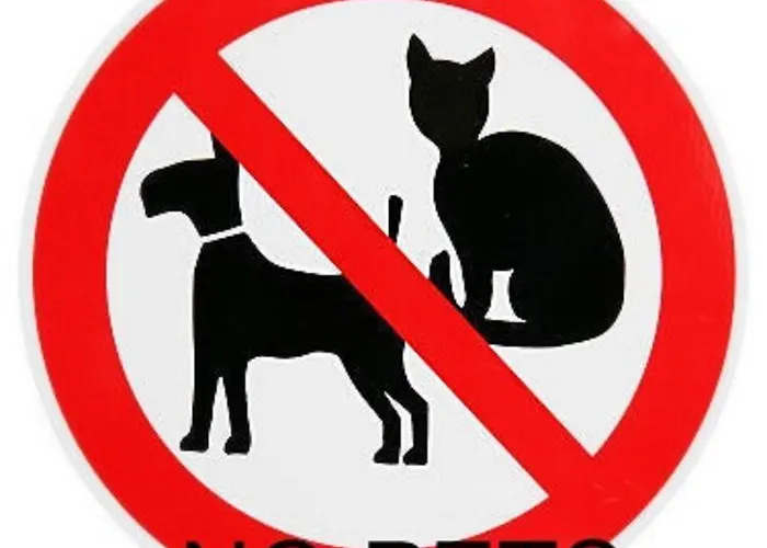 Appartamento Florian Sölden